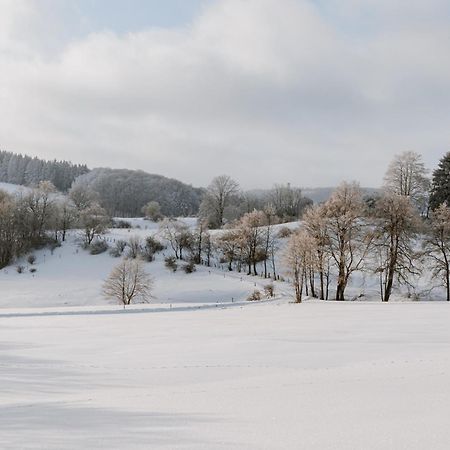 Jagdhaus In Der Rhoen In Voelliger Alleinlage Gersfeld Exterior photo